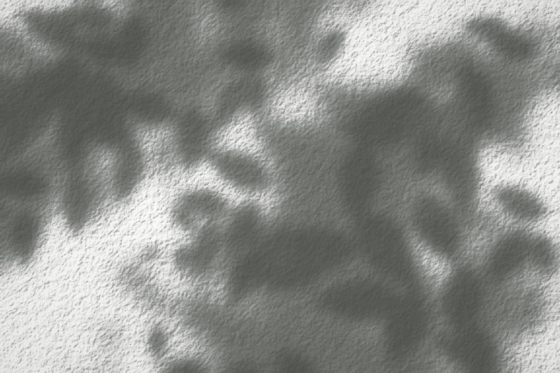 Soft leaf shadows across a grey stucco wall.